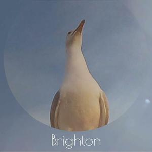 Brighton