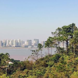 胎教音乐孕中期（治愈钢琴曲）花开花落