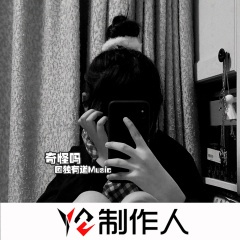 山海难平 (DJ版)