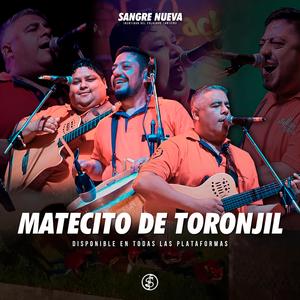 Matecito de Toronjil (Sangre Nueva)