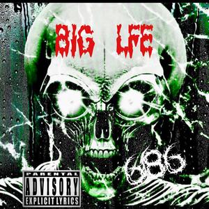 BIG LFE