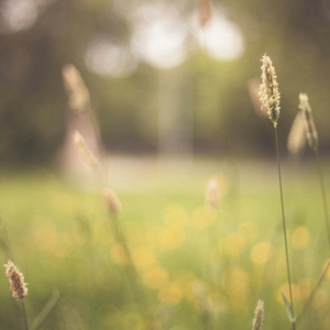 당신을 위한 왈츠