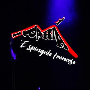 'E spingule francese