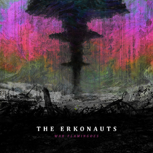 War Flamingoes