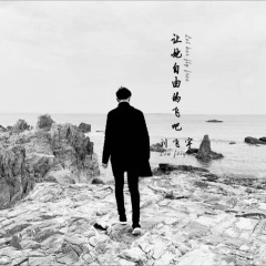 让她自由的飞吧