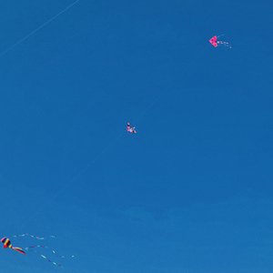 待到山花烂漫时