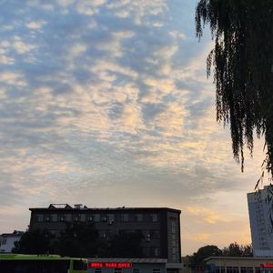 梨花-整曲 伴奏