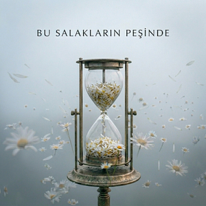 Bu Salakların Peşinde