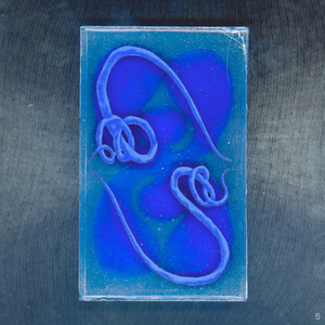 Plasticity