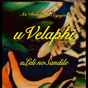 uVelaphi