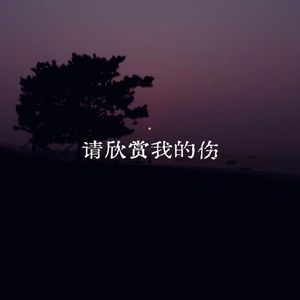 请欣赏我的伤