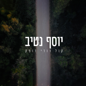 קול דודי דופק
