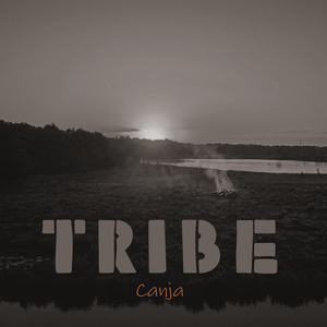 Tribe