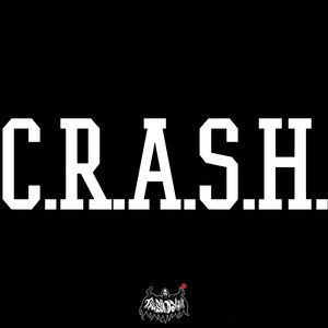 C.R.A.S.H.