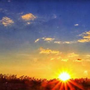 吟唱苍白的故事