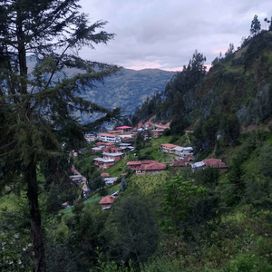 Ayara