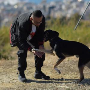 Xoreuw me ta sinaisthimata