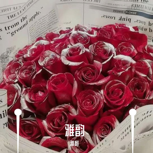 Calvinharris-Blame（雅韵 remix）