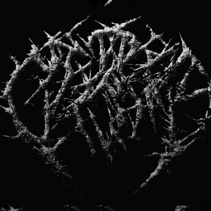 The Apocrypha
