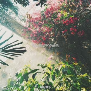 酒店经典的爵士