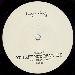 You Are Not Real (Nik Ros Remix)