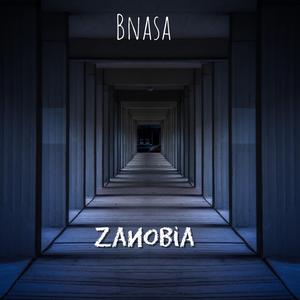 Bnasa