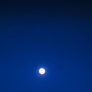 Moonlight Echoes