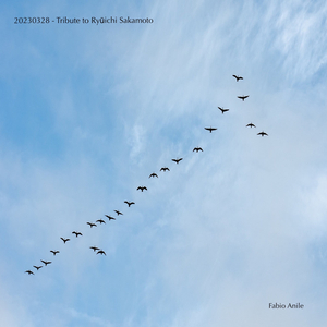 20230328 - Tribute to Ryūichi Sakamoto