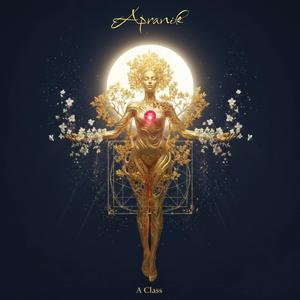 No Retreat. No surrender.