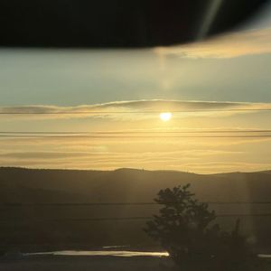 飞蛾记事-音悦宝贝伟哥原创