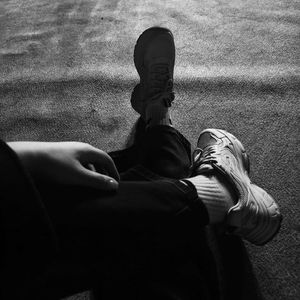 向日葵的追随-行走的solo