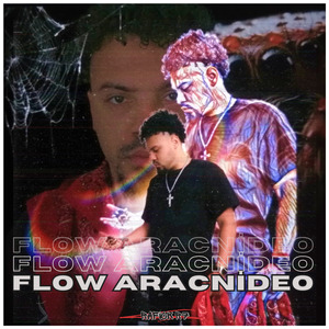 Flow Aracnídeo