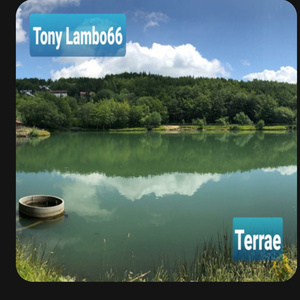Terrae
