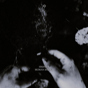 Act Of Disobedience (Original Mix)