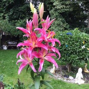 Forever My Angel's Embrace