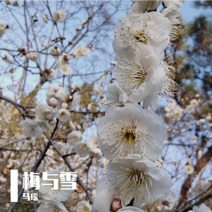 梅与雪（钢琴曲）