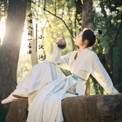 我借人间一壶酒