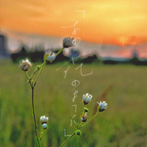 あの花のように