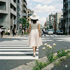 白いフリージア