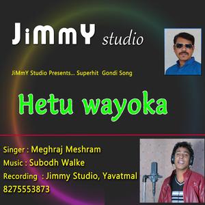 Hetu Wayoka (Gondi Song) (feat. Subodh Walke & Meghraj)