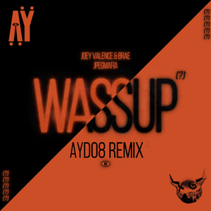 Joey Valence & Brae, JPEGMAFIA - WASSUP (AYDO8 Flip)
