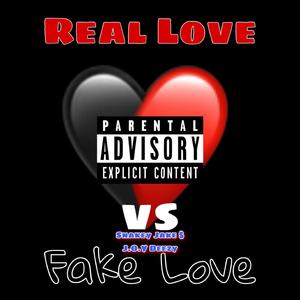 Real Love vs. Fake Love (feat. Snakey Jake)