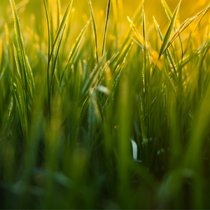 A Thousand Reasons To Be Sad