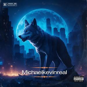 NO CHIAMATE NO MESSAGGI