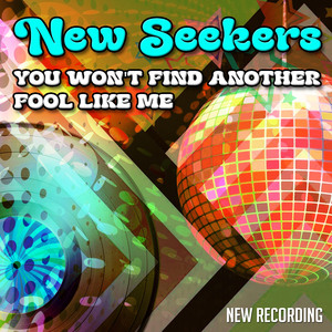 You Won't Find Another Fool Like Me