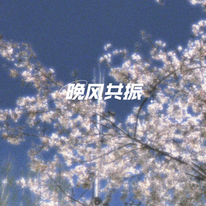 星尘律动
