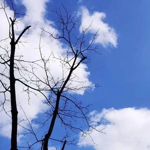 无法阻挡的告白