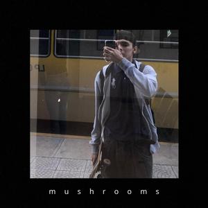 mushrooms (feat. Vl4mE)