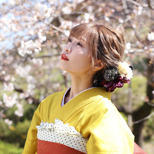 夢と葉桜 (アカペラカバー)