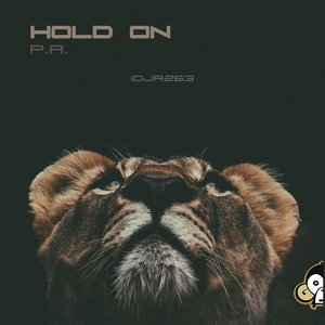 Hold On (Original mix)